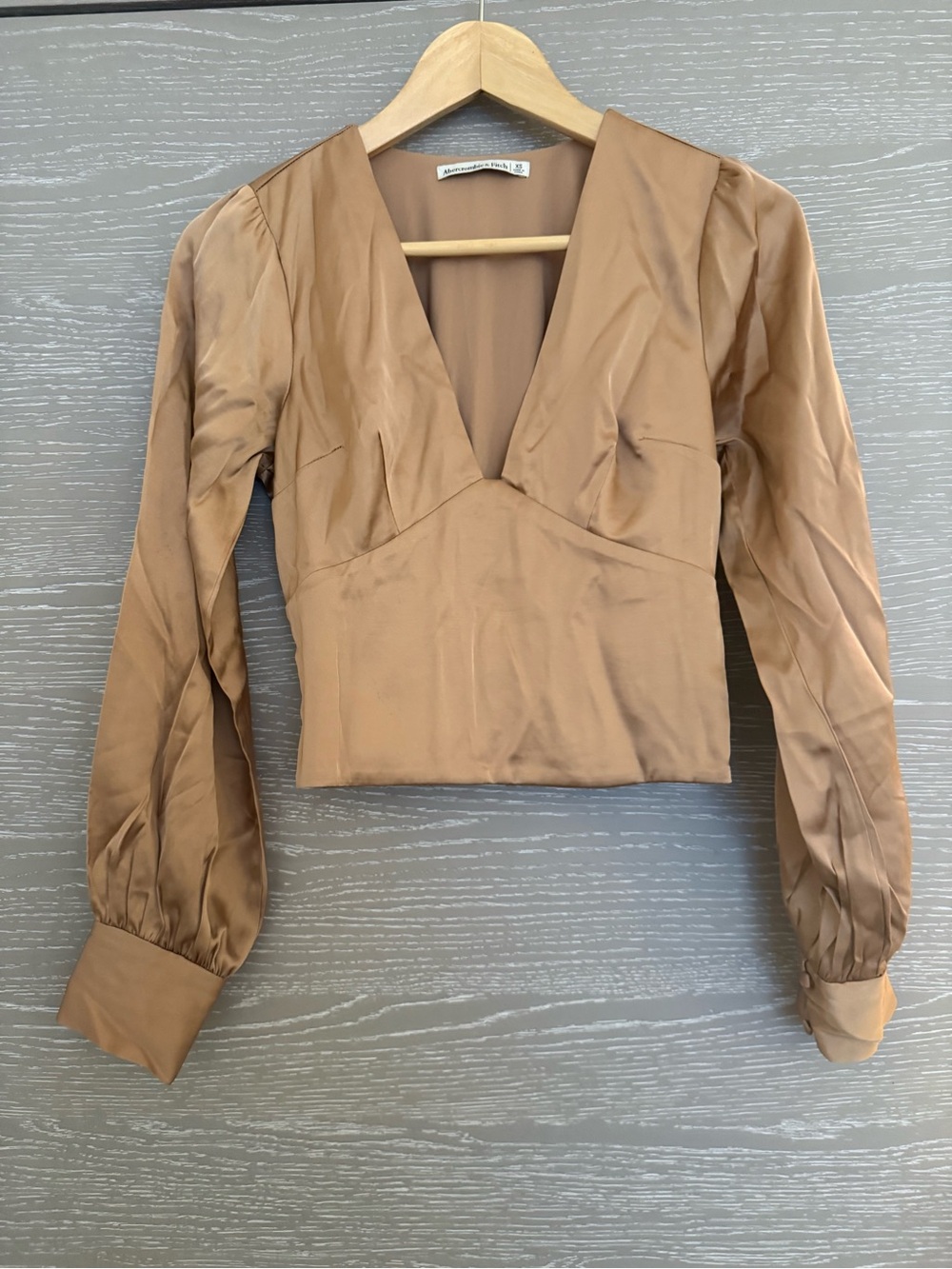 Aje Camel Satin Deep V Long Sleeve Crop Top